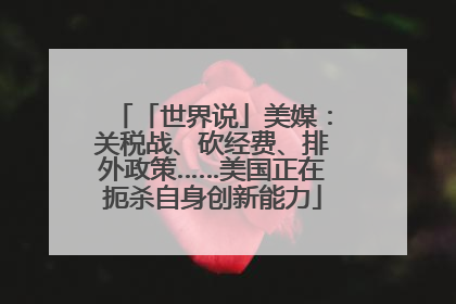 「世界说」美媒：关税战、砍经费、排外政策……美国正在扼杀自身创新能力