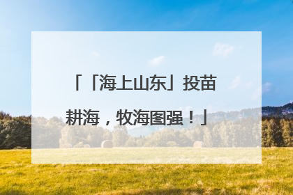 「海上山东」投苗耕海，牧海图强！