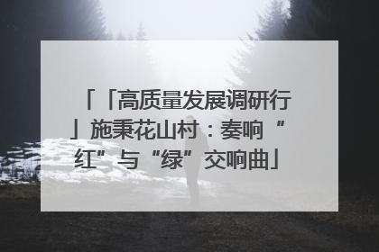 「高质量发展调研行」施秉花山村：奏响“红”与“绿”交响曲