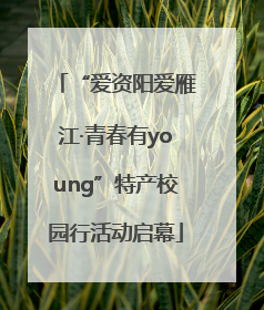 “爱资阳爱雁江·青春有young”特产校园行活动启幕
