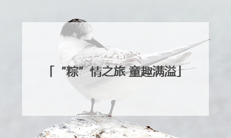 “粽”情之旅 童趣满溢