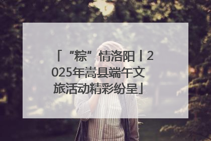 “粽”情洛阳丨2025年嵩县端午文旅活动精彩纷呈