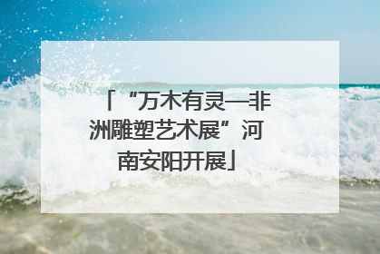 “万木有灵—非洲雕塑艺术展”河南安阳开展