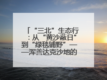 “三北”生态行：从“黄沙蔽日”到“绿毯铺野”——浑善达克沙地的“绿色重生”