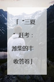 “三夏”赶考：潍柴的丰收答卷