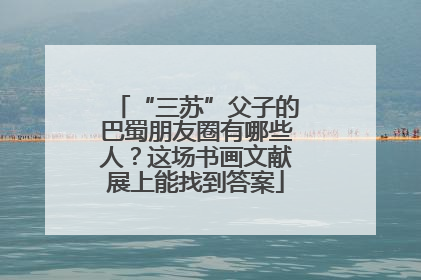 “三苏”父子的巴蜀朋友圈有哪些人？这场书画文献展上能找到答案