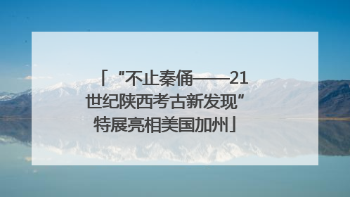 “不止秦俑——21世纪陕西考古新发现”特展亮相美国加州