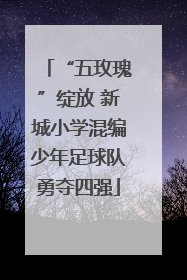 “五玫瑰”绽放 新城小学混编少年足球队勇夺四强