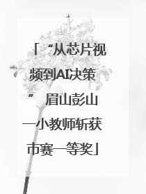 “从芯片视频到AI决策” 眉山彭山一小教师斩获市赛一等奖