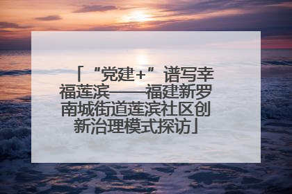 “党建+”谱写幸福莲滨——福建新罗南城街道莲滨社区创新治理模式探访