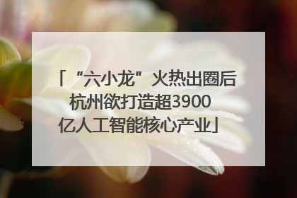 “六小龙”火热出圈后 杭州欲打造超3900亿人工智能核心产业