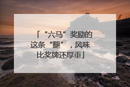 “六马”奖励的这条“腿”，风味比奖牌还厚重