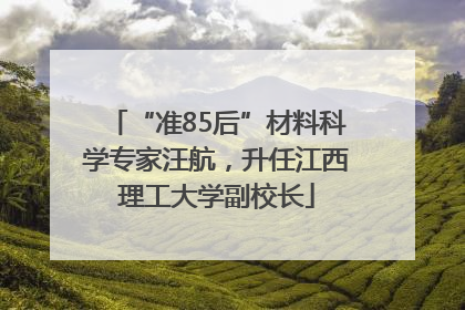 “准85后”材料科学专家汪航，升任江西理工大学副校长