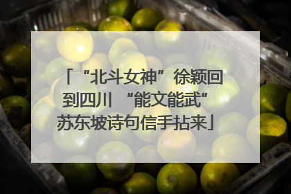 “北斗女神”徐颖回到四川 “能文能武”苏东坡诗句信手拈来