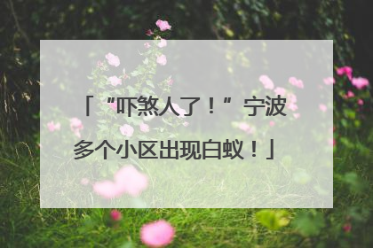 “吓煞人了！”宁波多个小区出现白蚁！