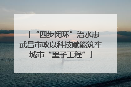 “四步闭环”治水患 武昌市政以科技赋能筑牢城市“里子工程”