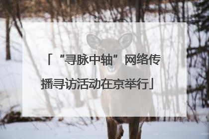“寻脉中轴”网络传播寻访活动在京举行