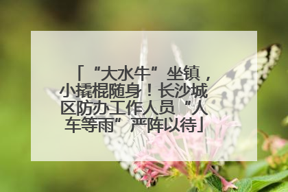 “大水牛”坐镇，小撬棍随身！长沙城区防办工作人员“人车等雨”严阵以待