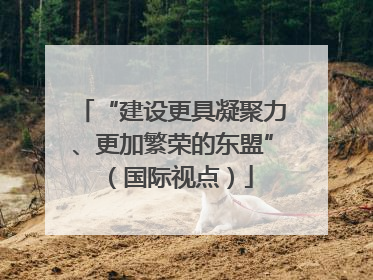 “建设更具凝聚力、更加繁荣的东盟”（国际视点）