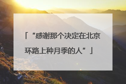 “感谢那个决定在北京环路上种月季的人”