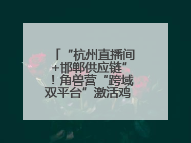 “杭州直播间+邯郸供应链”！角兽营“跨域双平台”激活鸡泽产业新动能