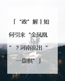 “政”解丨如何引来“金凤凰”？河南亮出“一盘棋”