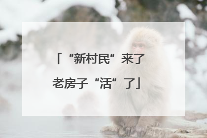 “新村民”来了 老房子“活”了