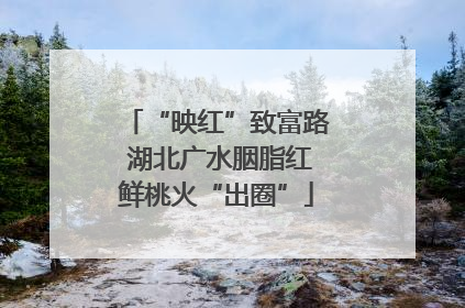 “映红”致富路 湖北广水胭脂红鲜桃火“出圈”