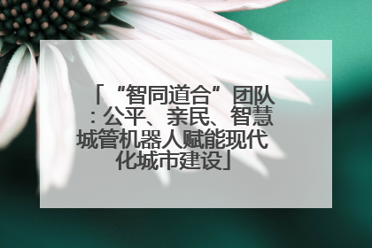 “智同道合”团队：公平、亲民、智慧城管机器人赋能现代化城市建设