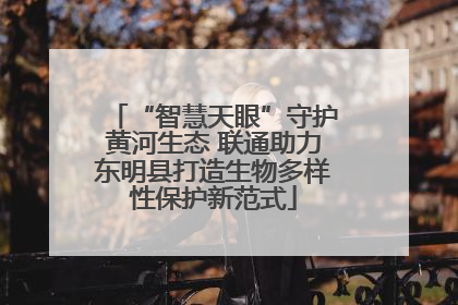 “智慧天眼”守护黄河生态 联通助力东明县打造生物多样性保护新范式