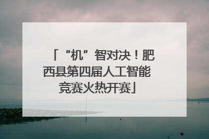 “机”智对决！肥西县第四届人工智能竞赛火热开赛