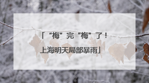 “梅”完“梅”了！上海明天局部暴雨