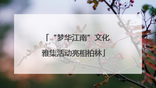 “梦华江南”文化雅集活动亮相柏林