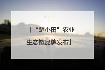 “楚小田”农业生态链品牌发布