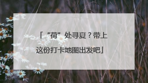 “荷”处寻夏？带上这份打卡地图出发吧