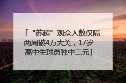 “苏超”观众人数仅隔两周破4万大关，17岁高中生球员独中二元
