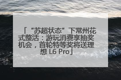 “苏超状态”下常州花式整活：游玩消费享抽奖机会，首轮特等奖将送理想 L6 Pro