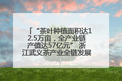 “茶叶种植面积达12.5万亩，全产业链产值达57亿元” 浙江武义茶产业全链发展“加速度”