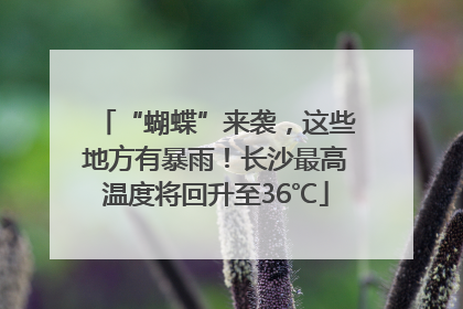 “蝴蝶”来袭，这些地方有暴雨！长沙最高温度将回升至36℃