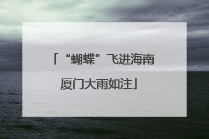 “蝴蝶”飞进海南 厦门大雨如注