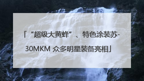 “超级大黄蜂”、特色涂装苏-30MKM 众多明星装备亮相