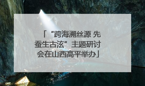 “跨海溯丝源 先蚕生古泫”主题研讨会在山西高平举办