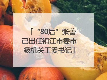 “80后”张蕾已出任镇江市委市级机关工委书记