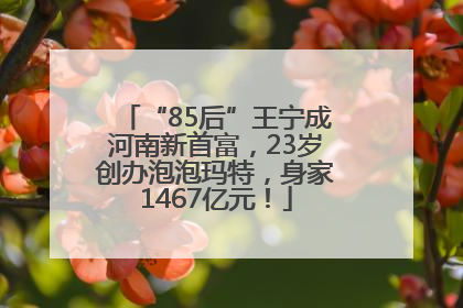“85后”王宁成河南新首富，23岁创办泡泡玛特，身家1467亿元！