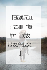 玉溪元江：芒果“爆单” 联农带农产业兴