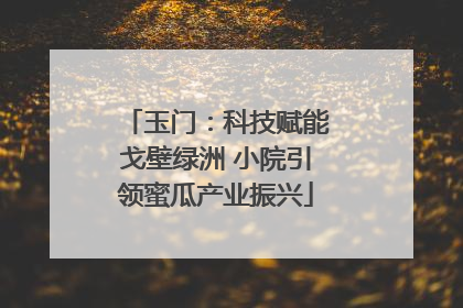玉门：科技赋能戈壁绿洲 小院引领蜜瓜产业振兴
