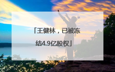 王健林，已被冻结4.9亿股权