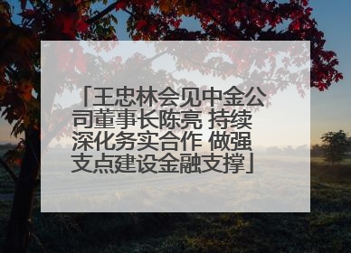 王忠林会见中金公司董事长陈亮 持续深化务实合作 做强支点建设金融支撑