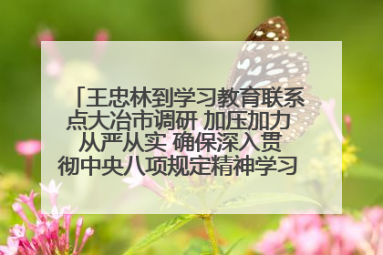 王忠林到学习教育联系点大冶市调研 加压加力 从严从实 确保深入贯彻中央八项规定精神学习教育取得实效