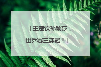 王楚钦孙颖莎，世乒赛三连冠！